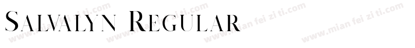Salvalyn Regular字体转换
